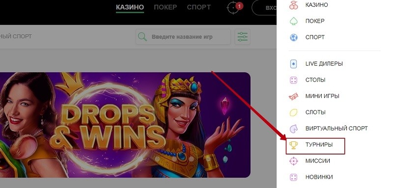 Поиск турнира